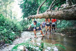 BIB: 
                            <button type="button" onclick="openModal(25452405)" class="btn btn-primary btn-sm float-right btn-popup" data-toggle="modal" data-target=".modal-high-quality">
                        <i class="fas fa-shopping-cart"></i> Add to Cart
                    </button>
                                            <button type="button" onclick="isThisMe(25452405, true)" class="btn btn-success btn-sm float-right btn-popup btn-isme hidden" data-toggle="tooltip" data-placement="bottom" title="นี่คือรูปของคุณใช่ไหม คลิกที่นี่เพื่อเอาเข้าอัลบั้ม">
                        <i class="fas fa-plus"></i> Add to album
                    </button>
                    <button type="button" onclick="isThisMe(25452405, false)" class="btn btn-warning btn-sm float-right btn-popup btn-isnotme hidden">
                        <i class="fas fa-ban"></i> Remove from album
                    </button>